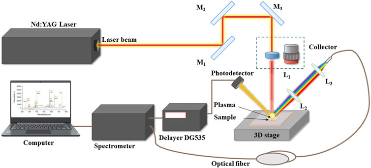 setup diagram for the laser induced breakdown spectroscopy application