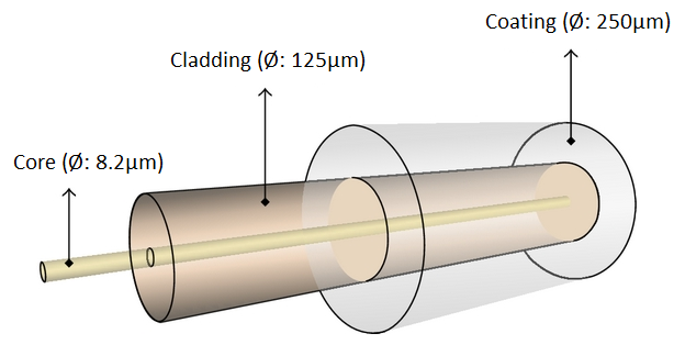 Image Single-Mode Optical Fiber Diagram Example